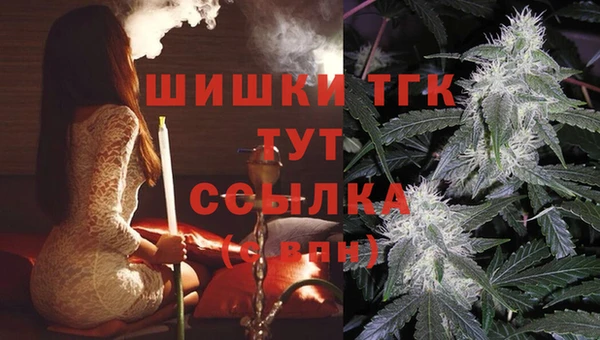 дмт Абинск