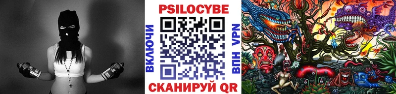 где купить наркотик  Устюжна  Галлюциногенные грибы Psilocybe 